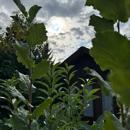 Holiday home Haus Sommerfeld